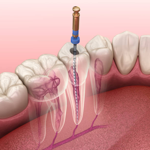 Dr. Lisa & Dr. Tisa's Dental House Vaikom